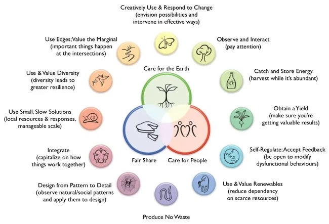 An infographic showing the 12 permaculture design principles and the 3 permaculture ethics